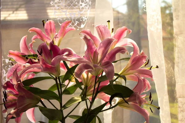 A beautiful bouquet of flowers on the window. Lilies on the window. Background. Texture.