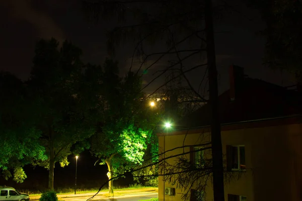 Night scene. View from the window. Background. Texture.