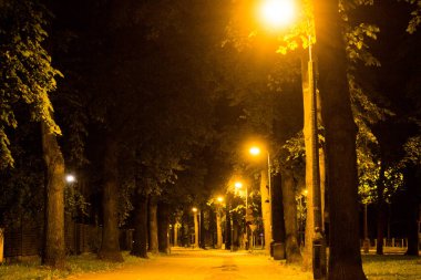 Geceleri sonbahar parkı. Arkaplan.