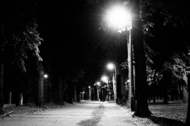 Geceleri sonbahar parkı. Güzel sonbahar. Gece sahnesi. Siyah beyaz fotoğraf. Arkaplan.