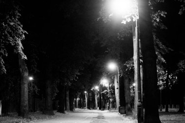 Geceleri sonbahar parkı. Güzel sonbahar. Gece sahnesi. Siyah beyaz fotoğraf. Arkaplan.