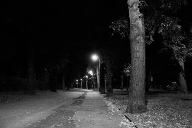 Geceleri sonbahar parkı. Güzel sonbahar. Gece sahnesi. Siyah beyaz fotoğraf. Arkaplan.