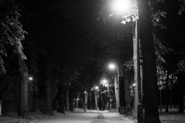 Geceleri sonbahar parkı. Güzel sonbahar. Gece sahnesi. Siyah beyaz fotoğraf. Arkaplan.
