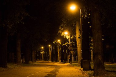 Sonbahar gecesi şehri. Gece sahnesi. Arkaplan.