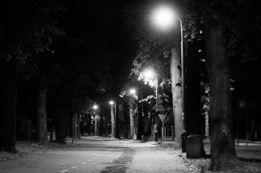 Geceleri sonbahar parkı. Güzel sonbahar. Gece sahnesi. Siyah beyaz fotoğraf. Arkaplan.