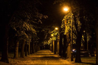 Sonbahar gecesi şehri. Gece sahnesi. Arkaplan.