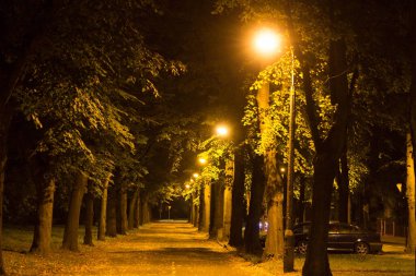 Geceleri sonbahar parkı. Arkaplan.