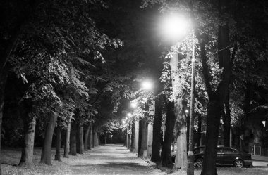 Geceleri sonbahar parkı. Güzel sonbahar. Gece sahnesi. Siyah beyaz fotoğraf. Arkaplan.