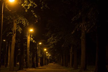 Sonbahar gecesi şehri. Gece sahnesi. Arkaplan.