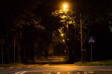 Sonbahar gecesi şehri. Gece sahnesi. Arkaplan.