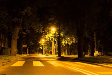 Geceleri sonbahar parkı. Arkaplan.