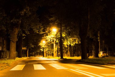 Sonbahar gecesi şehri. Gece sahnesi. Arkaplan.