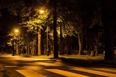 Geceleri sonbahar parkı. Arkaplan.