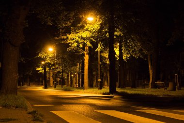 Geceleri sonbahar parkı. Arkaplan.
