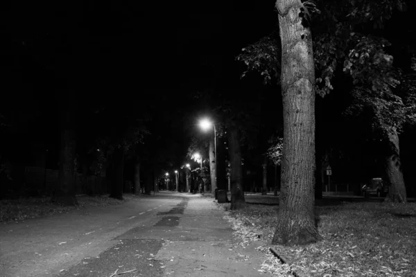 Geceleri Sonbahar Parkı Güzel Sonbahar Gece Sahnesi Siyah Beyaz Fotoğraf — Stok fotoğraf