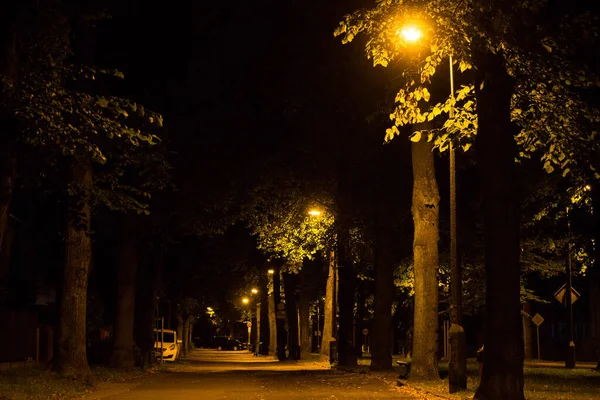 秋天的公园在夜晚 — 图库照片