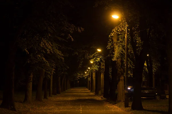 Осінній Парк Вночі Тло — стокове фото