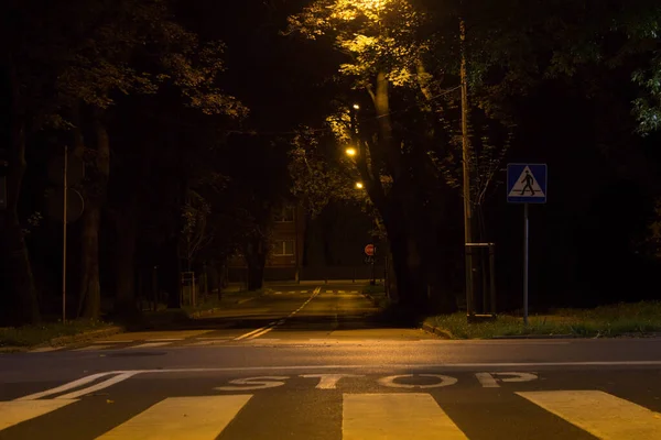 Sonbahar gecesi şehri. Gece sahnesi. Arkaplan.