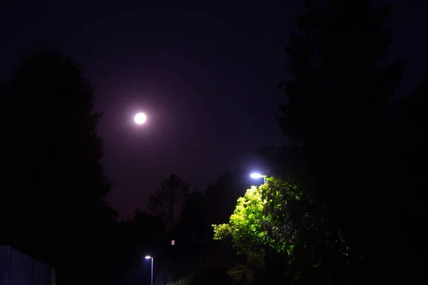 Město Podzimní Noci Noční Scéna Pozadí — Stock fotografie