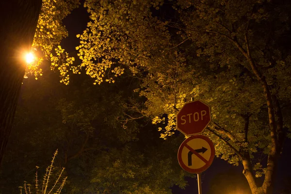 秋の夜の街 ナイトシーン — ストック写真