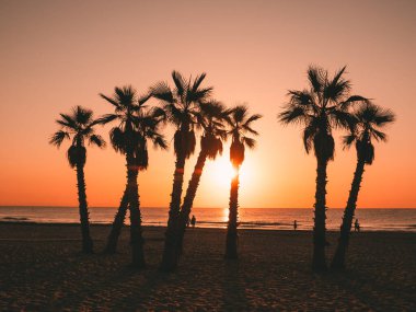 Sahilde güzel bir gün batımı