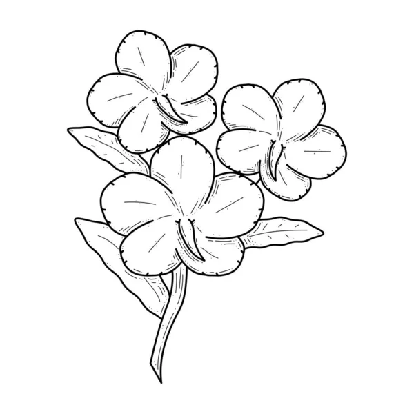 アブストラクトハンドドローフラワープラントカンナ植物性花自然花のドードルコンセプトベクトルデザイン概要白を基調としたスタイル孤立 — ストックベクタ