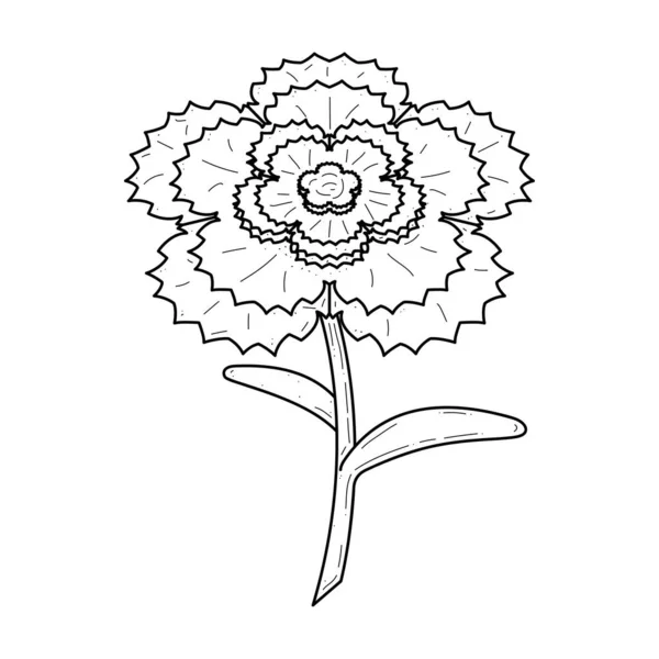Astratto Disegnato Mano Fiore Pianta Garofano Botanico Floreale Natura Bloom — Vettoriale Stock