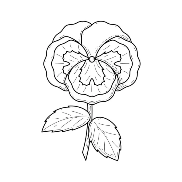 Abstrakt Handgezeichnete Blume Stiefmütterchen Botanisch Floral Natur Bloom Doodle Konzept — Stockvektor