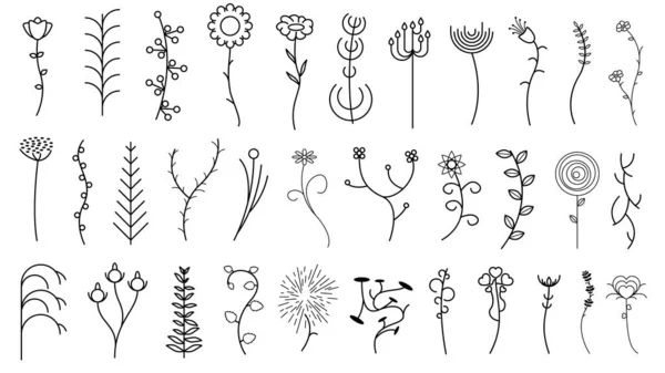 Set Abstracto Doodle Elementos Dibujado Mano Colección Botánica Flora Hierbas — Vector de stock