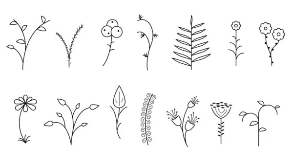 Abstract Set Doodle Elements Hand Getrokken Collectie Botanische Kruiden Flora — Stockvector