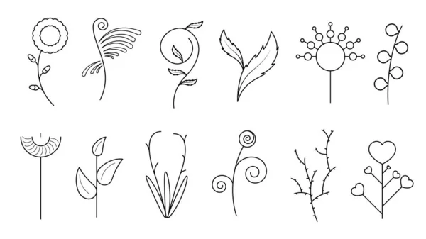 Set Abstracto Doodle Elementos Dibujado Mano Colección Botánica Flora Hierbas — Vector de stock