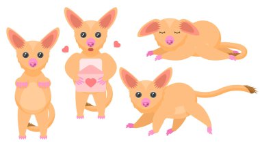 Soyut Koleksiyon Düz Çizgi Filmini Ayarla Farklı Tilki Kuzu Fırça Kuyruklu Possum Standı, Uyuyan, Okuyan, Bir Aşk Mektubu Vektör Tasarımı Tarzı Vahşi Yaşam