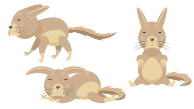 Soyut Koleksiyon Düz Çizgi Filmini Farklı Hayvan Lagidium Whiskasha Kemirgen Standını, Uyuyan Vektör Tasarım Elemanlarını Vahşi Yaşam Biçimlendirme Biçimini Ayarla