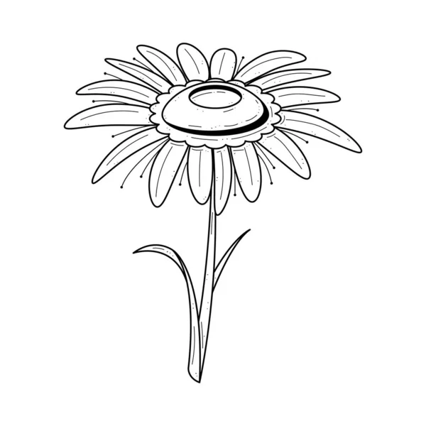Αφηρημένο Χέρι Σχεδιασμένο Λουλούδι Φυτό Βοτανικός Floral Φύση Bloom Doodle — Διανυσματικό Αρχείο
