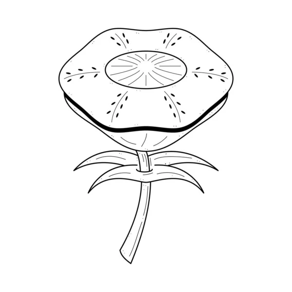 Абстрактный Ручной Рисунок Цветок Растение Ботанический Цветочный Характер Цветение Каракули — стоковый вектор