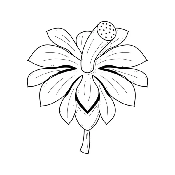 Abstrak Hand Drawn Flower Plant Botanic Floral Nature Bloom Doodle - Stok Vektor