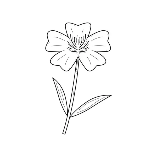 アブストラクトハンドドローフラワーバターカップ植物植物植物植物性花の自然花のドードルコンセプトベクトルデザイン概要白の背景にスタイルを分離 — ストックベクタ