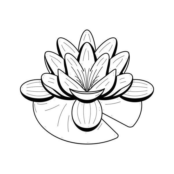 Αφηρημένο Χέρι Σχεδιασμένο Νερό Κρίνος Λουλούδι Φυτό Βοτανική Floral Φύση — Διανυσματικό Αρχείο
