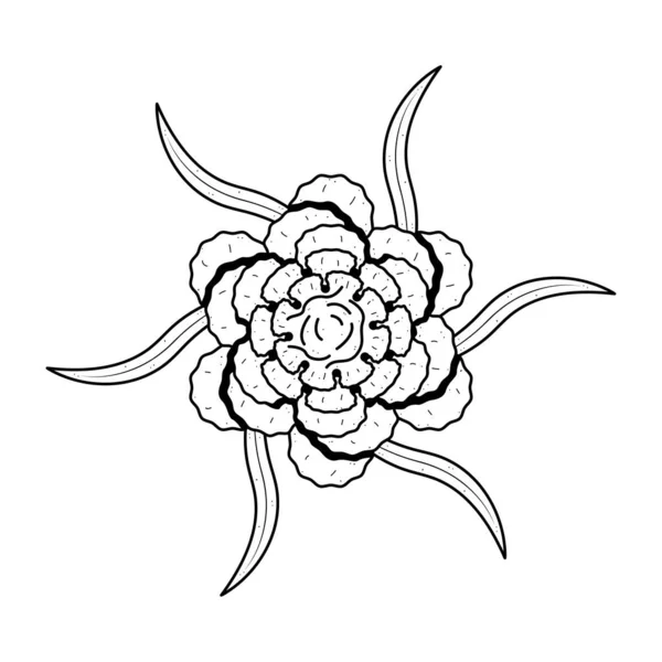 Αφηρημένη Χέρι Επέστησε Λουλούδι Φυτό Γαρύφαλλο Βοτανικός Floral Φύση Bloom — Διανυσματικό Αρχείο
