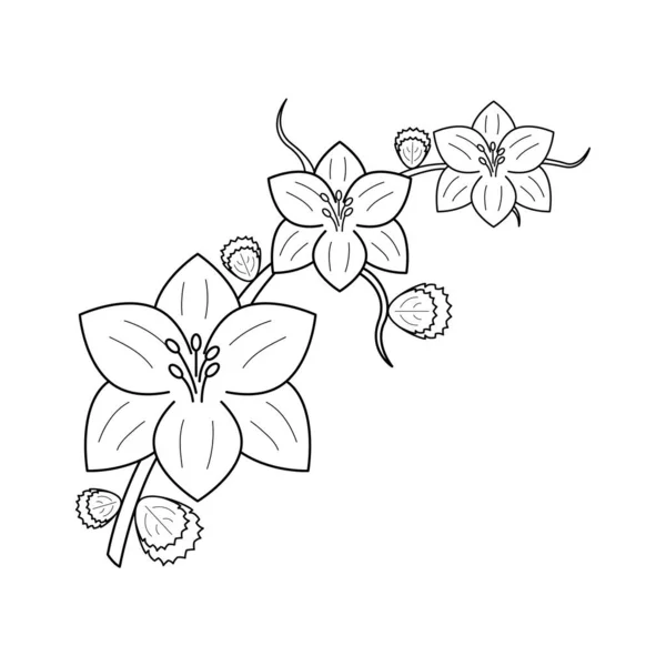 Abstrait Dessiné Main Fleur Plante Botanique Floral Nature Fleur Caniche — Image vectorielle