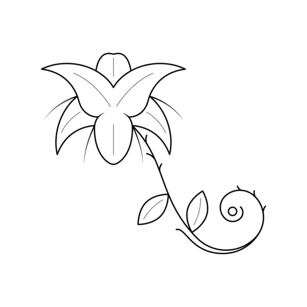 Αφηρημένο Χέρι Σχεδιασμένο Λουλούδι Φυτό Βοτανικός Floral Φύση Bloom Doodle — Διανυσματικό Αρχείο