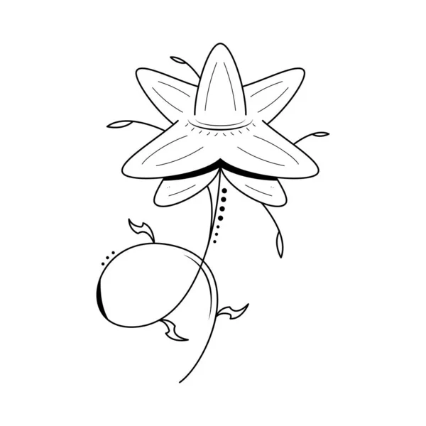 Abstrakt Handritad Blomma Växt Botaniska Blommor Natur Blomma Doodle Koncept — Stock vektor