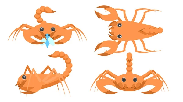 Zestaw Abstrakcyjny Kolekcji Flat Cartoon Różne Skorpiony Zwierząt Stoją Jedzenie — Wektor stockowy