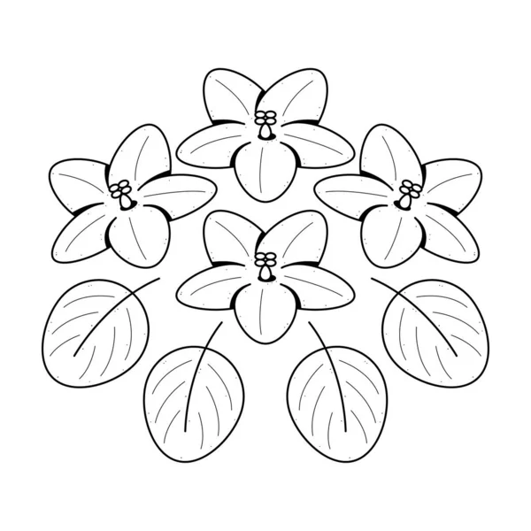 手绘花卉紫罗兰植物植物植物植物区系自然开花涂鸦概念矢量设计简析白背景下的平面设计风格 — 图库矢量图片