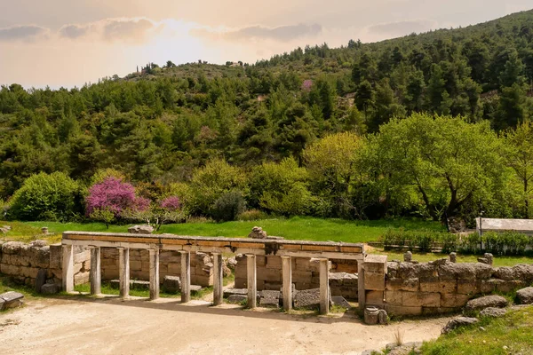 Utsikt Över Amfiteatern Oropos Grekland — Stockfoto