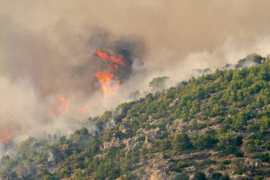 Loutraki, Yunanistan 14 Eylül 2019. Loutraki 'deki Geraneia Dağı' nda yangın. Görüntüyü kapat.