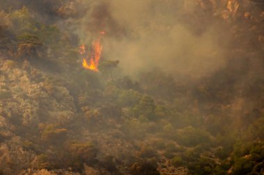 Loutraki, Yunanistan 14 Eylül 2019. Yunanistan 'da Loutraki' de yangın.