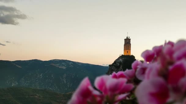 Arachova Kyrka Grekland Mot Rosa Blommor Ett Känt Turistmål — Stockvideo