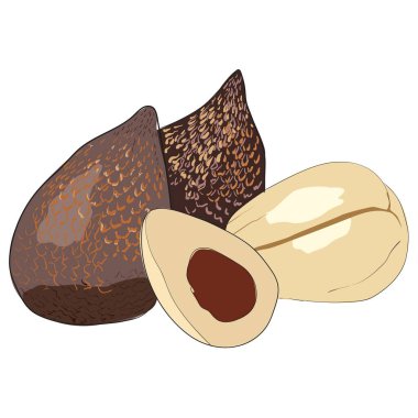 Sağlıklı bir yaşam için yaz tropikal meyveleri