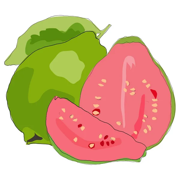 Sağlıklı Yaşam Tarzı Için Yaz Tropikal Meyveler Guava Tam Meyve — Stok Vektör